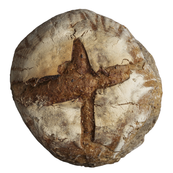 pane forma fornosammarco